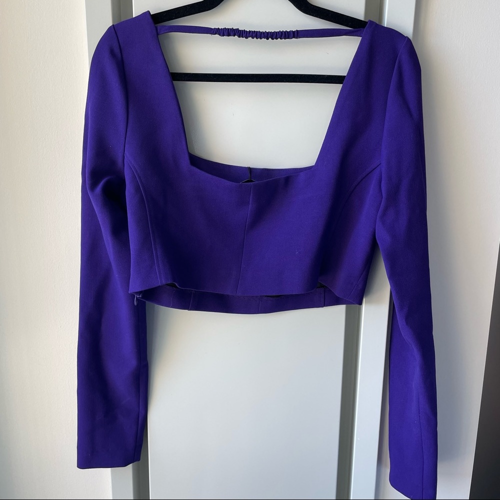 NEW Zara long sleeve crop top!